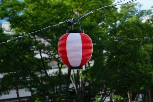 提灯 提灯の写真
