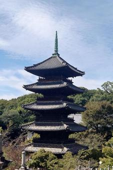 愛知県-興正寺-五重塔 愛知県-興正寺-五重塔 興正寺,寺,八事山の写真素材