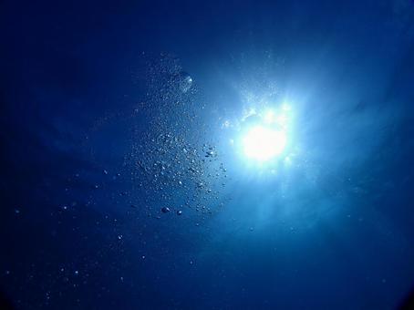 沖縄の青い海　ダイビング ダイビング,海,水中写真の写真素材