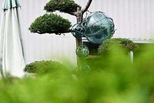 「浮き球」 「浮き球」 北海道,ガラス,丸いの写真素材