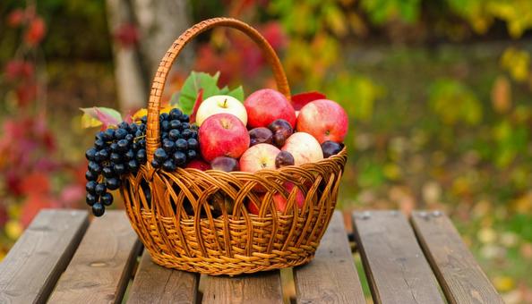 秋のフルーツ 秋のフルーツの写真