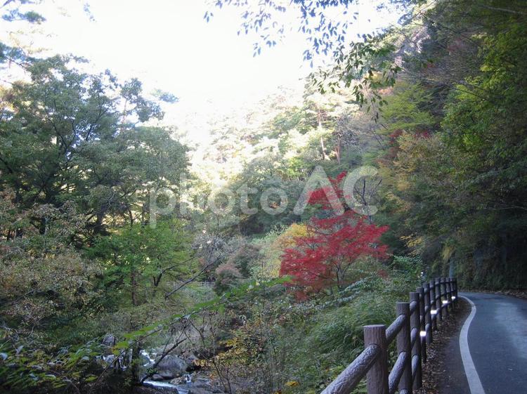 秋の昇仙峡 昇仙峡,秋,甲府の写真素材