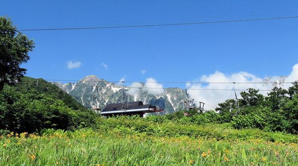 白馬五竜アルプス平自然遊歩道から 白馬五竜アルプス平自然遊歩道から 白馬五竜高山植物園,夏山,アルプス平自然遊歩道の写真素材