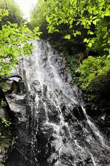 新緑の木漏れ日と流れ落ちる滝 滝,渓流,渓谷の写真素材