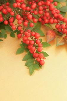 金色背景　南天 南天,ナンテン,正月の写真素材