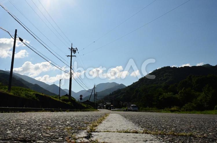 真夏の風景 朝,道端,背景の写真素材