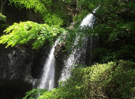 緑と滝 滝,緑,自然の写真素材