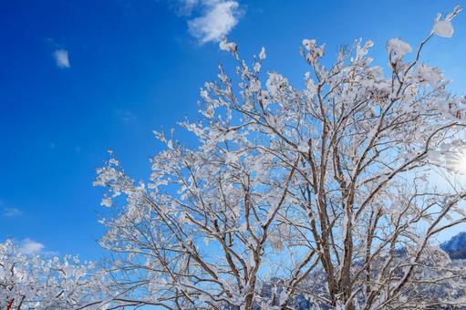 250320秋山郷清水川原、結東 秋山郷,長野県,栄村の写真素材