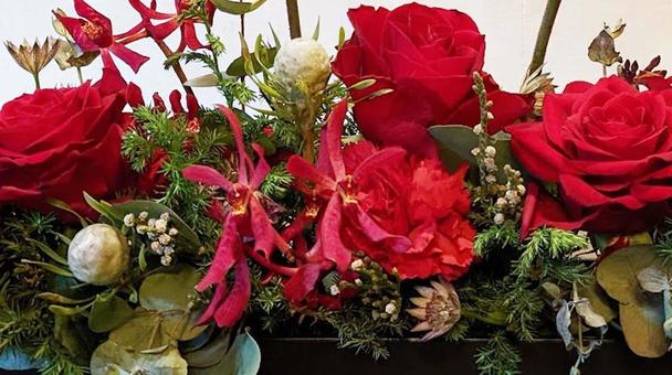 Roses - Christmas style, JPG Roses - Christmas style, JPG