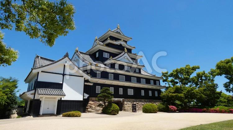 岡山城 岡山県,城,天守閣の写真素材