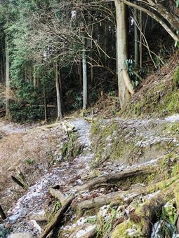 照片, 室外, 登山, 自然, 