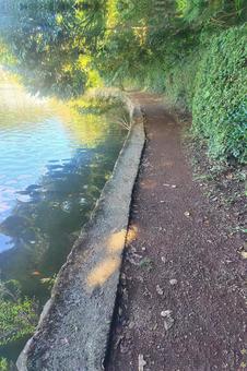 一碧湖3 一碧湖3の写真