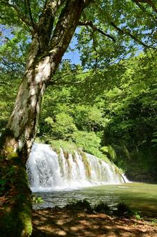 富山小矢部宮島峡 富山小矢部宮島峡 風景,自然,川の写真素材