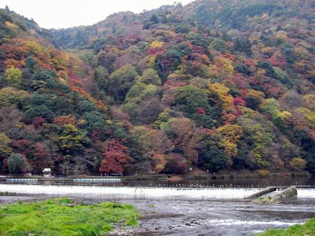 嵐山　京都 嵐山,京都,大堰川の写真素材