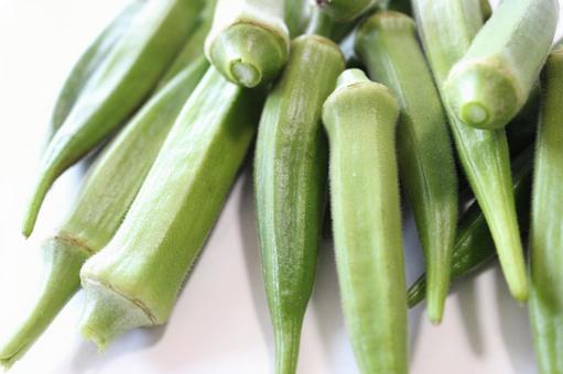 おくら　オクラ　陸蓮根 おくら,陸蓮根,緑の写真素材