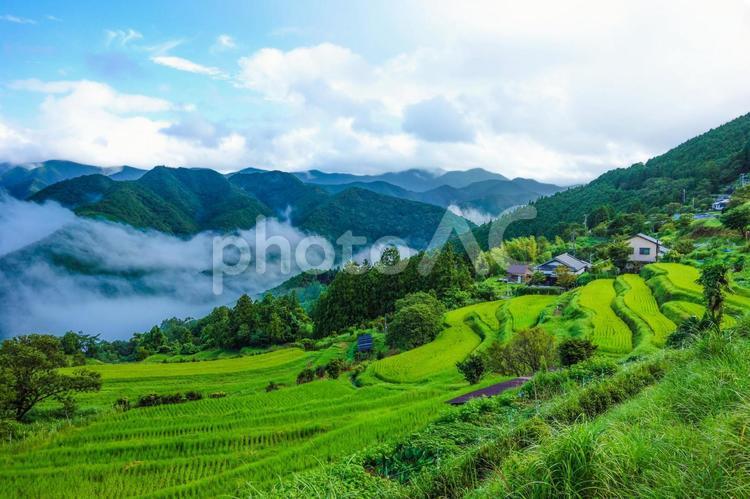 熊野古道　高原の景色 熊野古道,熊野,kumanoの写真素材