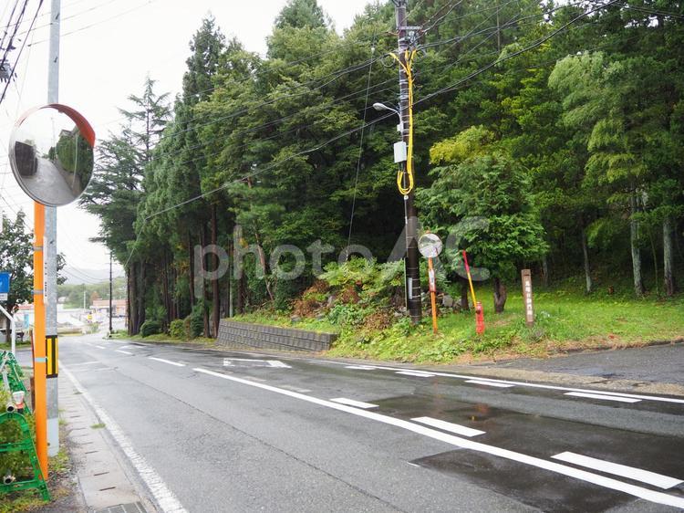 花巻市の風景 道路,道,木の写真素材