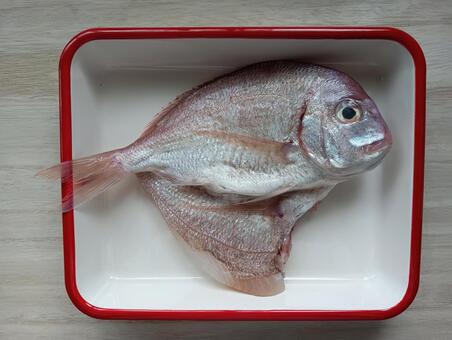 タイの開き（表） タイの開き,タイ,魚の写真素材