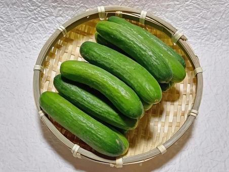 ミニきゅうり ミニきゅうり きゅうり,キュウリ,野菜の写真素材