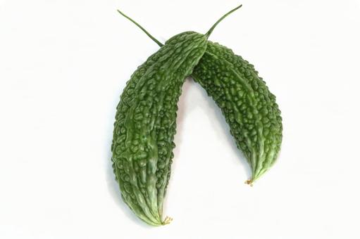 ゴーヤ収穫 植物,野菜,夏野菜の写真素材