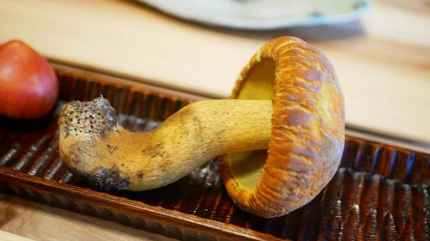 Porcini mushrooms, JPG Porcini mushrooms, JPG