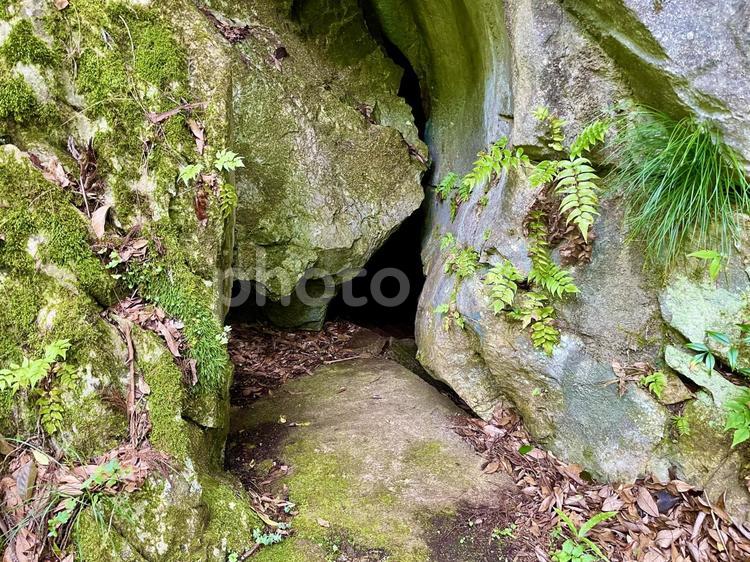 森の洞窟 山,自然,緑の写真素材