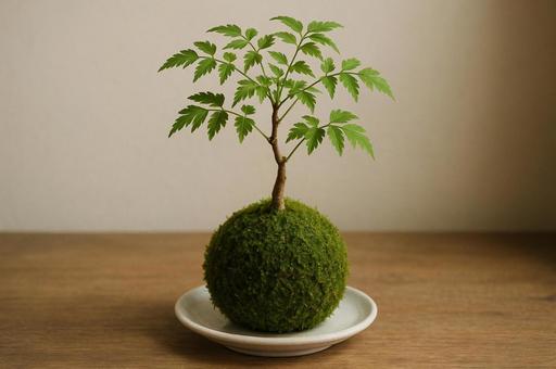 緑の葉が美しい苔玉 緑の葉が美しい苔玉の写真