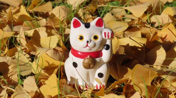 招き猫　銀杏の黄葉 招き猫,縁起物,置物の写真素材