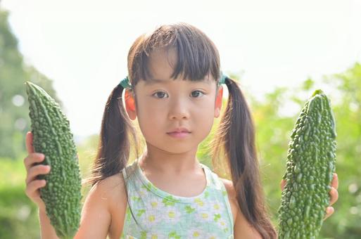 真顔でゴーヤを持つ女の子 夏 ゴーヤ,ゴーヤー,ニガウリの写真素材