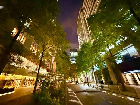 丸の内仲通りのかっこいい夜景 丸の内仲通りのかっこいい夜景 夜,夜景,ライトアップの写真素材