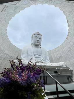 頭大仏殿 頭大仏殿 北海道,札幌,頭大仏の写真素材