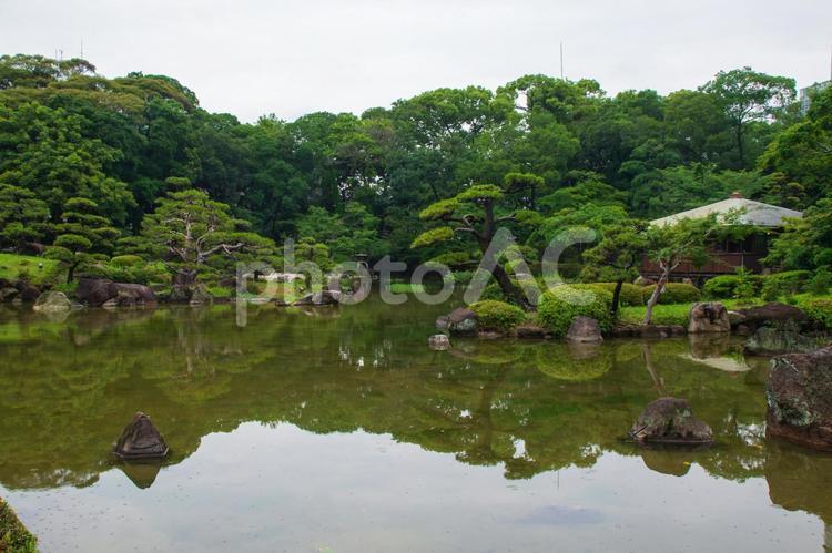 慶沢園の風景 日本庭園,慶沢園,四阿の写真素材