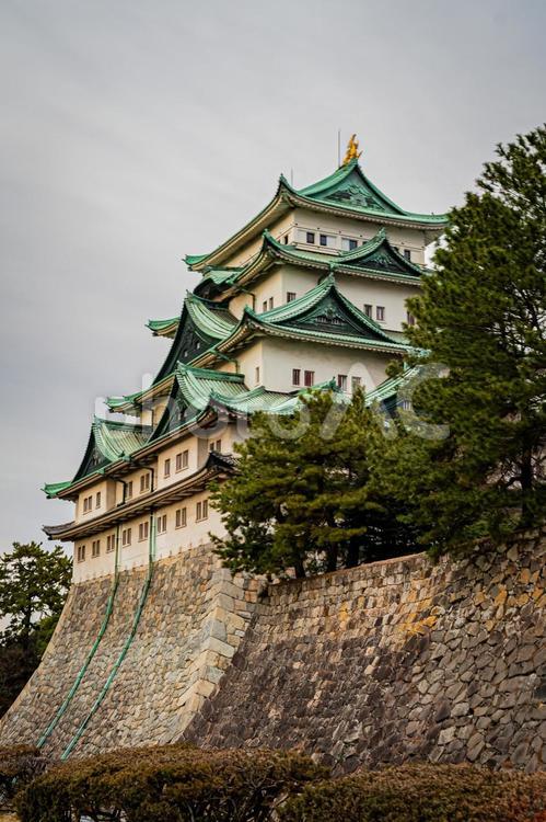 名古屋　名古屋城の風景 名古屋,愛知,愛知県の写真素材