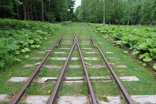 Abandoned railway line, JPG Abandoned railway line, JPG