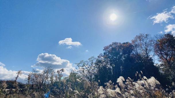 秋の空 秋の空の写真