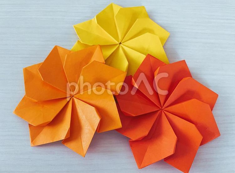 折り紙作品（立体的なダリアの花）３ 折り紙,花,ダリアの写真素材