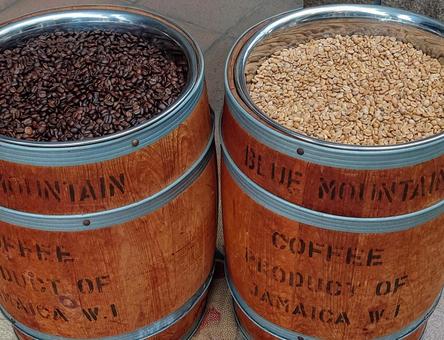 コーヒー豆 ローストした豆と生豆 コーヒー豆 ローストした豆と生豆 珈琲豆,コーヒー,焙煎の写真素材