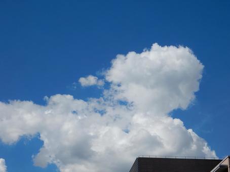 【風景写真】夏空 【風景写真】夏空の写真