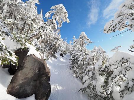雪景色の登山道(北横岳) 雪景色の登山道(北横岳) 北横岳,八ヶ岳,北八ヶ岳の写真素材