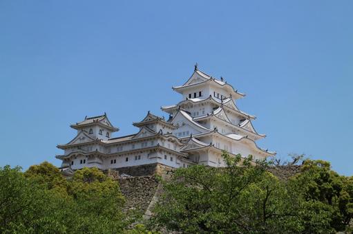 姫路城2015_7 姫路城2015_7 姫路城,白鷺城,日本100名城の写真素材