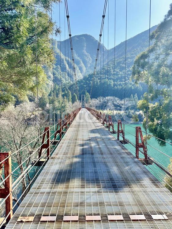 吊橋　おくとろ公園　冬の公園　冬　ダム湖 吊橋,和歌山県東牟婁郡北山村,道の駅の写真素材