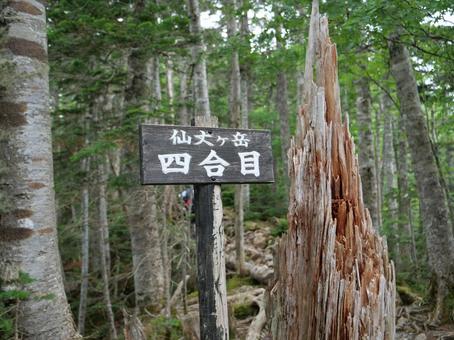 仙丈ヶ岳四合目の道標 仙丈ヶ岳四合目の道標 北沢峠,道標,南アルプスの写真素材