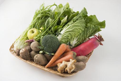 Assorted seasonal vegetables, vegetables, chinese cabbage, cage, JPG