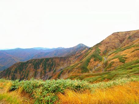 紅葉(越後三山・越後駒ヶ岳) 紅葉(越後三山・越後駒ヶ岳)の写真