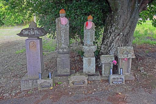 東陽寺(川越) 東陽寺(川越)の写真