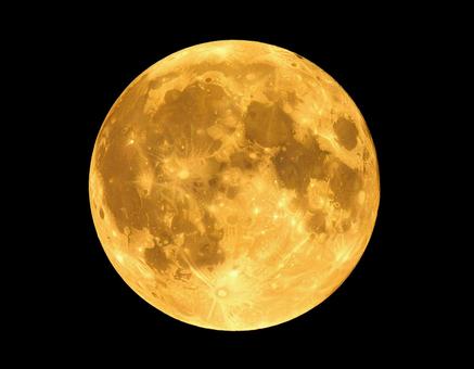 Harvest Moon Full Moon Moon Viewing Gold Autumn Scenery 3, harvest moon, full moon, the moon viewing, JPG