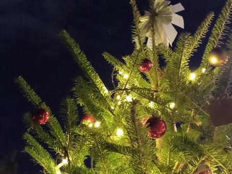 クリスマスツリー クリスマス,クリスマスツリー,イルミネーションの写真素材