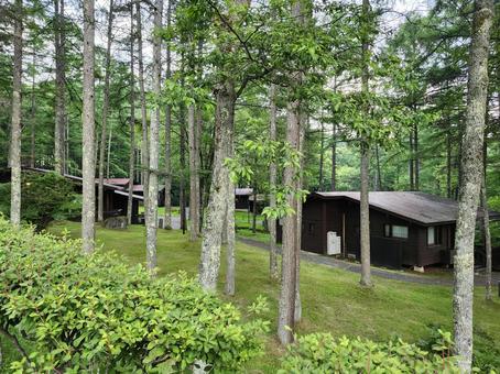 夏の蓼科のコテージ 夏の蓼科のコテージ 蓼科,コテージ,大自然の写真素材