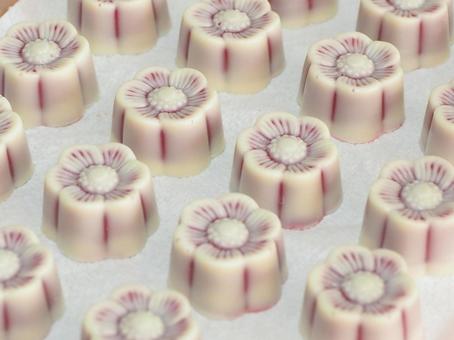 花型ホワイトチョコレート 花型ホワイトチョコレート チョコレート,ホワイトチョコ,花型の写真素材