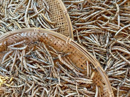 小豆の収穫後の乾燥 小豆,収穫,豆科の写真素材